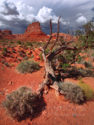 Valley of the Gods - USA