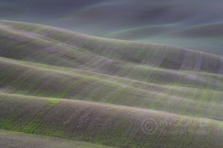 Crete Senesi, Tuscany - Italy