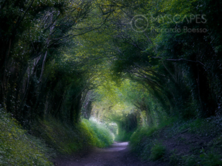 A path through the fields in West Sussex - UK - Double exposure