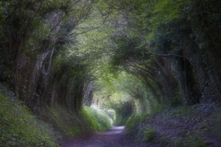 A path through the fields in West Sussex - UK